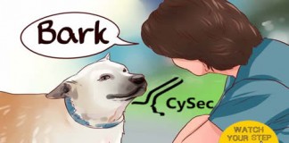 cysec watchdog